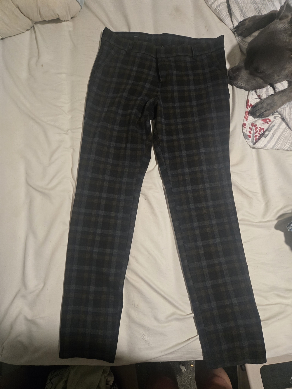 Kut from the Kloth Men's Plaid Dress Pants in Black and Dark Green